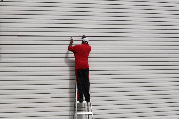 Best Fascia and Soffit Installation  in Auburn, IN